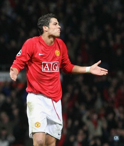 加合理的投 加合理的投